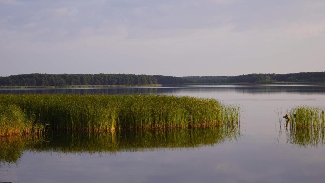 Radzyń Yacht Club Apartamenty מראה חיצוני תמונה